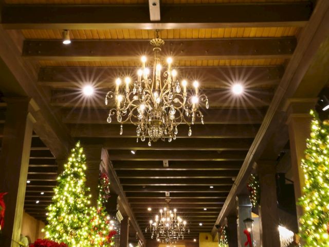 Inside a holiday-decorated hall with glowing chandeliers, tall lit Christmas trees, and festive wreaths and garlands.